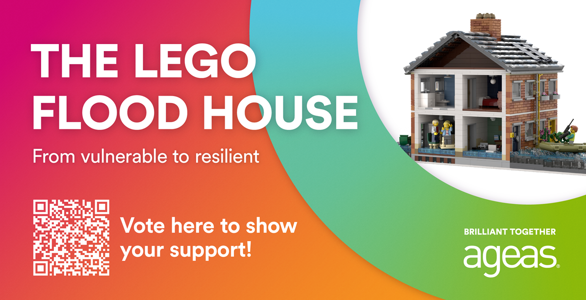A house made of LEGO