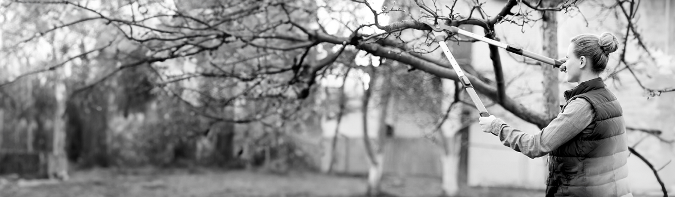 Staying ahead of the weather